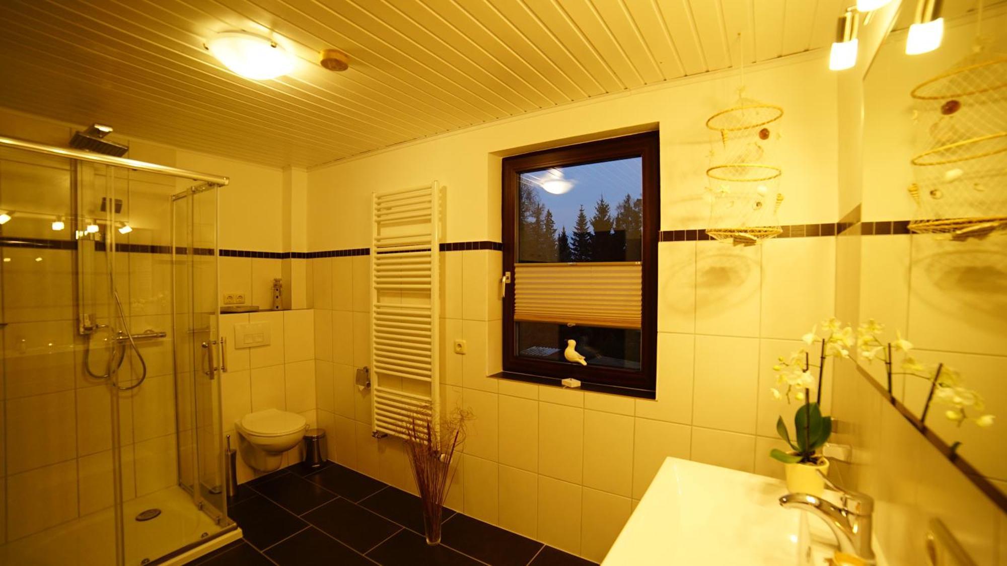 Ferienwohnung Im Wald Mit Kamin Bad Harzburg Eksteriør billede