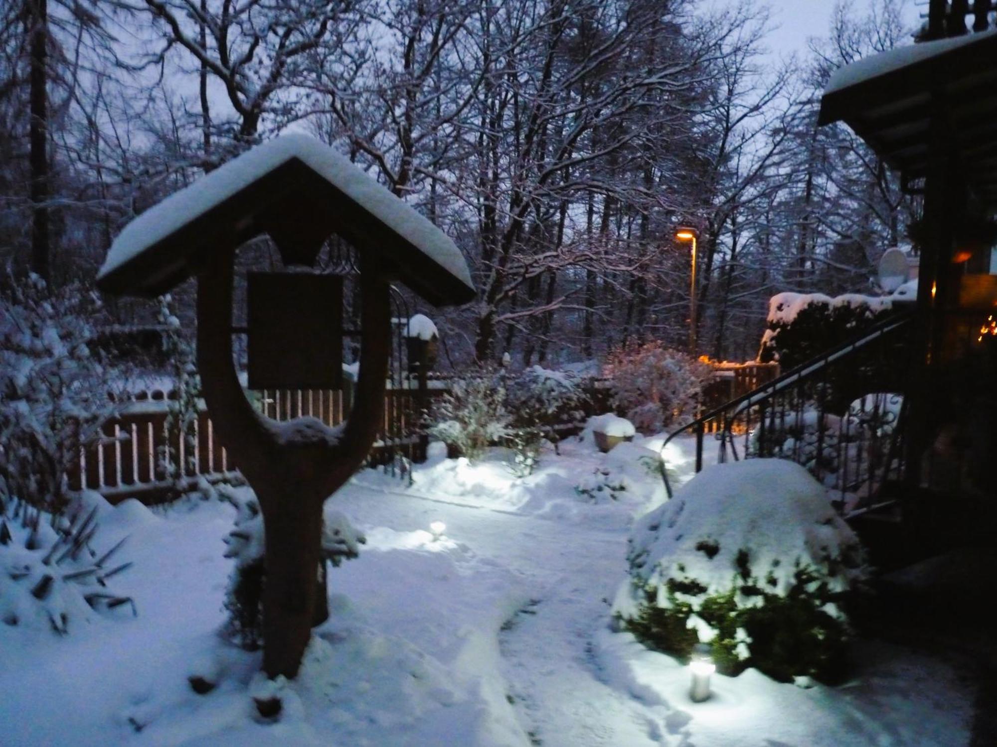 Ferienwohnung Im Wald Mit Kamin Bad Harzburg Eksteriør billede