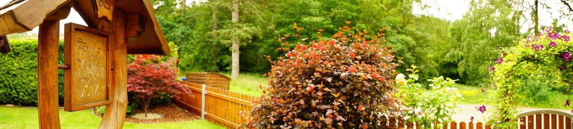 Ferienwohnung Im Wald Mit Kamin Bad Harzburg Eksteriør billede