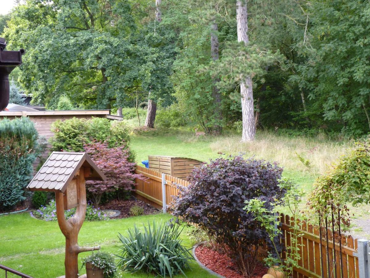 Ferienwohnung Im Wald Mit Kamin Bad Harzburg Eksteriør billede